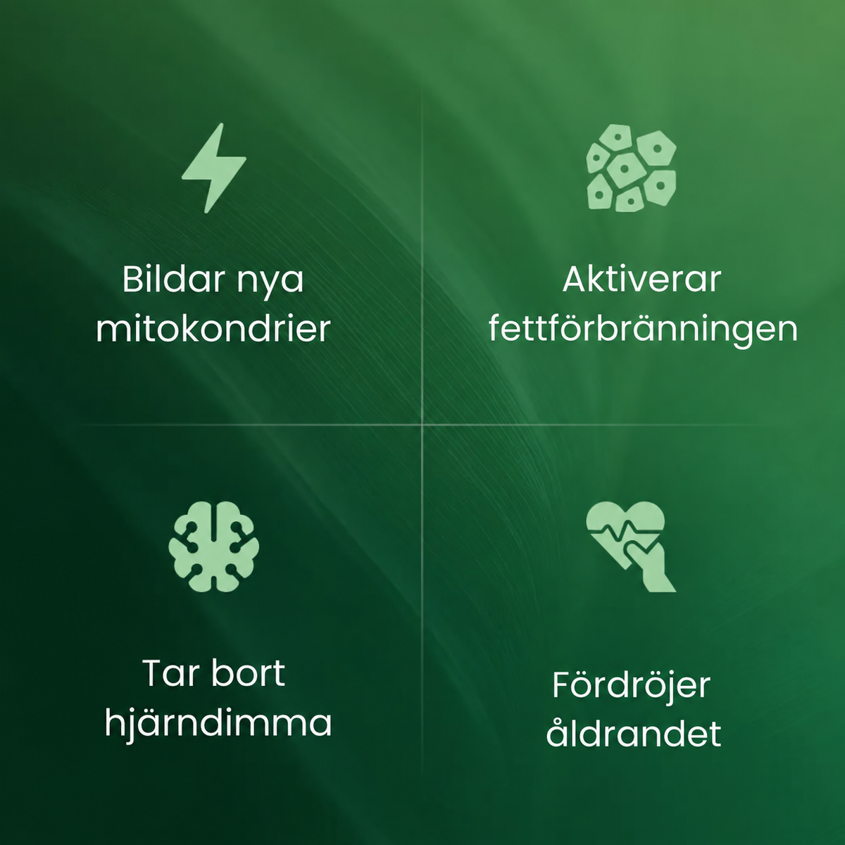 Veloria™ Amla Superfrucht Kapseln