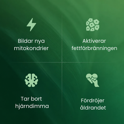 Veloria™ Amla Superfrucht Kapseln