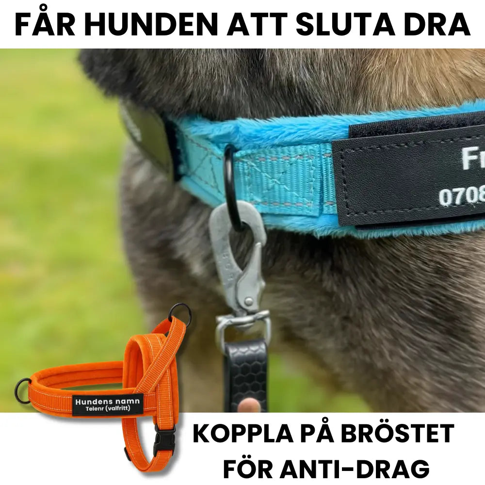 Comfortwalk Pro 2.0 – sele som förhindrar att hunden drar