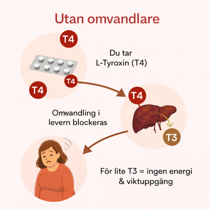 Sköldkörteloptimerare