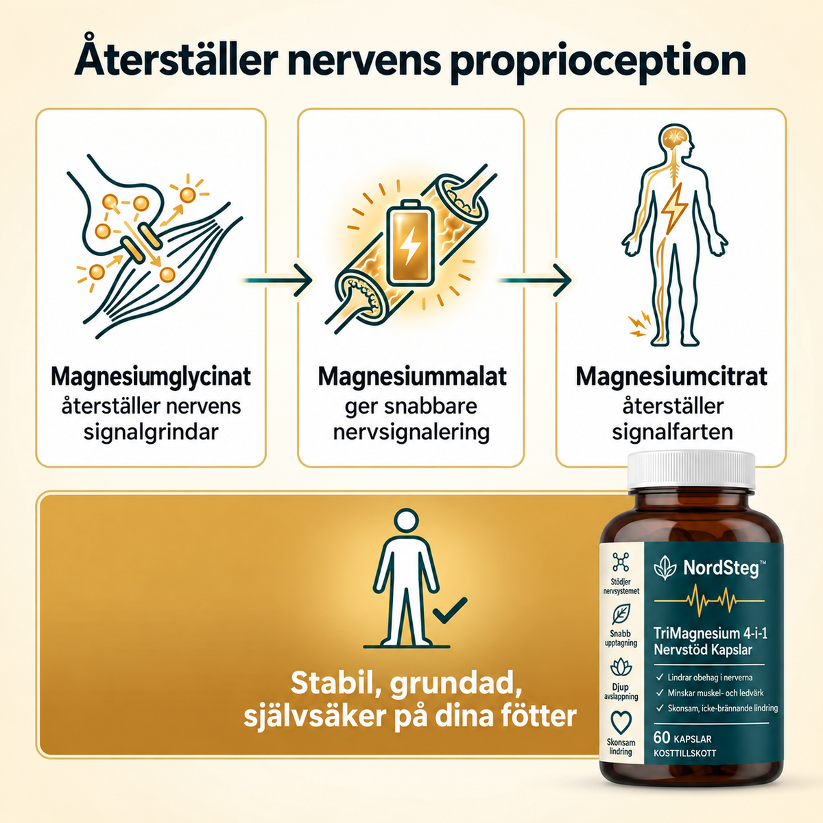NordSteg™