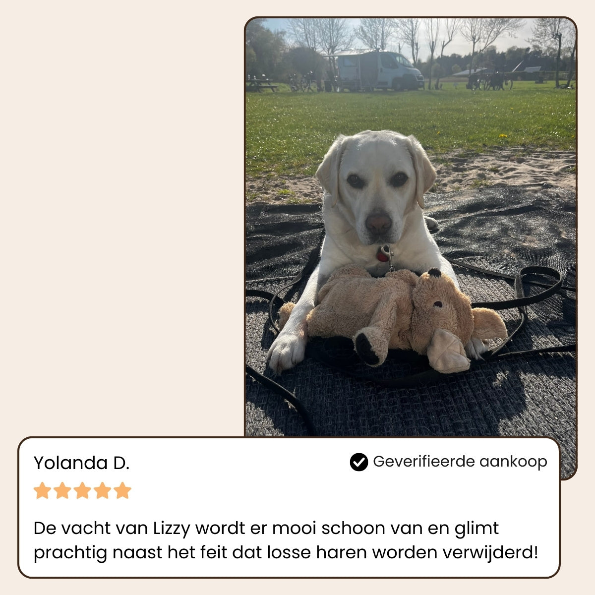 CoatCare Pro | Professionell pälsvårdsborste för husdjur