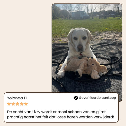 CoatCare Pro | Professionell pälsvårdsborste för husdjur